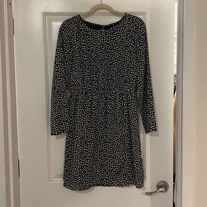 J Crew along Sleeve Dress